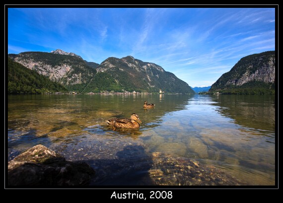 IMG_6580 5D